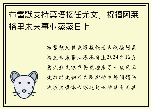 布雷默支持莫塔接任尤文，祝福阿莱格里未来事业蒸蒸日上